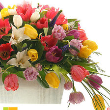 Схема вышивки «Тюльпаны»