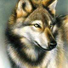 Схема вышивки «Волк»