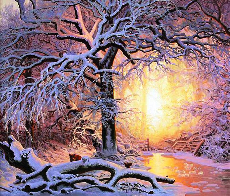 Зимний закат - ночь, зима, лес, звезды, природа, пейзаж, река, закат - оригинал