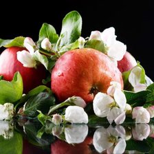 Схема вышивки «натюрморт»