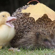 Схема вышивки «А вы не мой папа?»