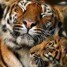 Рядом с мамой