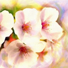 Схема вышивки «акварель»