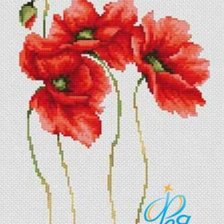 Схема вышивки «маки»