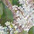 Предпросмотр схемы вышивки «Сирень» (№100043)