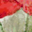 Предпросмотр схемы вышивки «маки» (№100131)