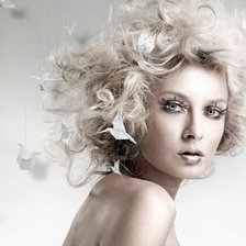 Схема вышивки «девушка и птицы»