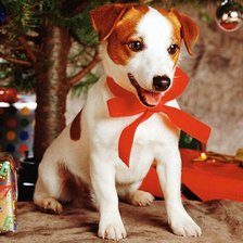 Схема вышивки «Щенок»