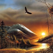 Схема вышивки «Орёл»