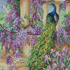 Схема вышивки «павлин»