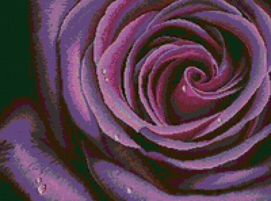 роза - розы, цветы, бутон - предпросмотр