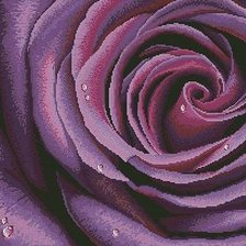 Схема вышивки «роза»