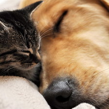 Схема вышивки «№100640»