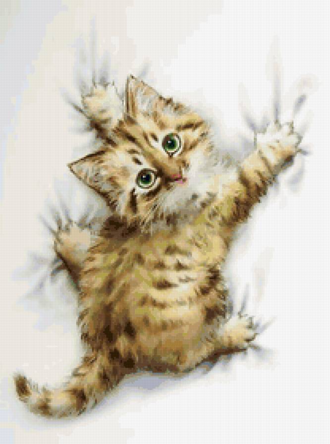 №100647 - предпросмотр