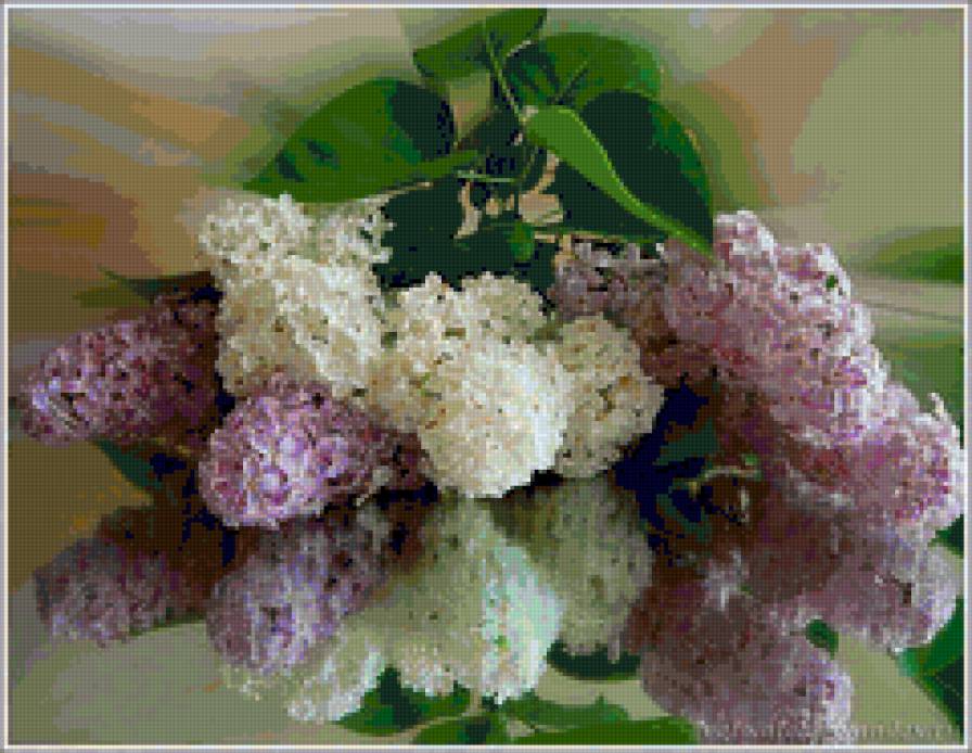 Сирень на стекле - цветы - предпросмотр