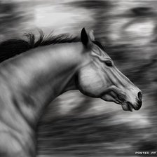 Схема вышивки «лошадь»