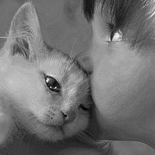 Схема вышивки «№101164»