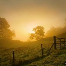 Схема вышивки «№101218»