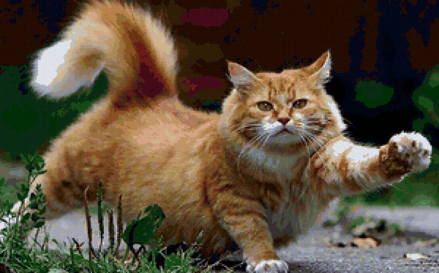 Рыжик - кошки, животные - предпросмотр