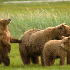 Схема вышивки «Семья»