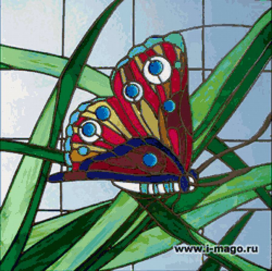 Бабочка - бабочка, подушка, открытка - предпросмотр