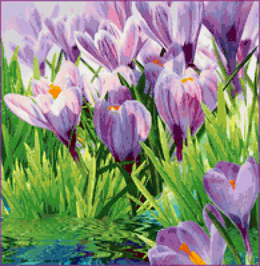 первоцвет - цветы - предпросмотр