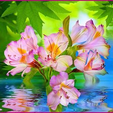 Схема вышивки «колор»