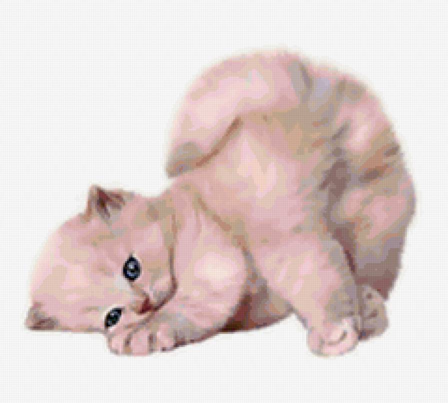 вниз головой - животные, коты, котята, кошки - предпросмотр