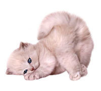 вниз головой