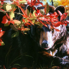 Схема вышивки «мишка»