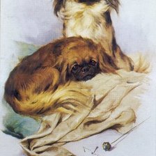 Схема вышивки «пекинесики»