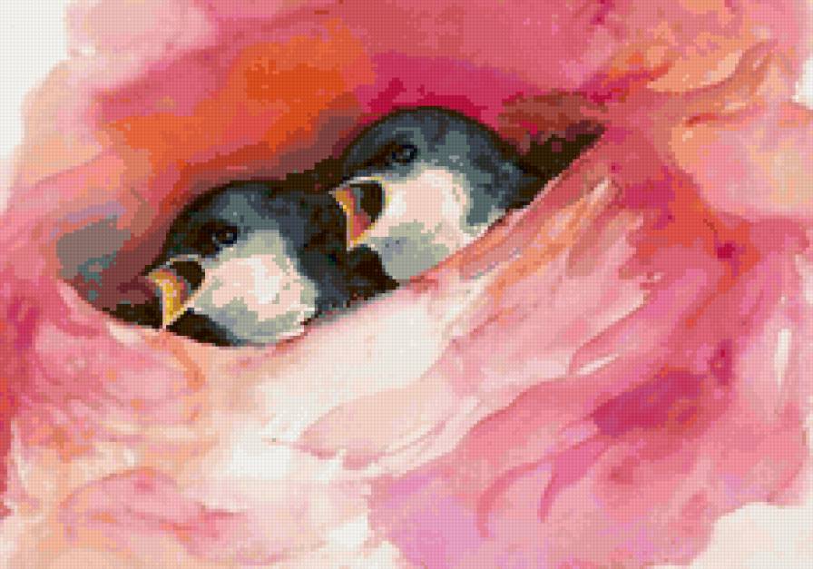 ласточки - птицы, ласточка - предпросмотр