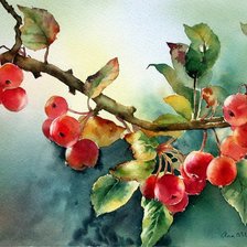 Схема вышивки «акварель»