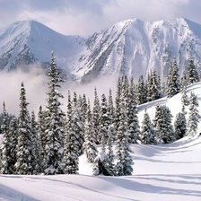 Схема вышивки «№101616»