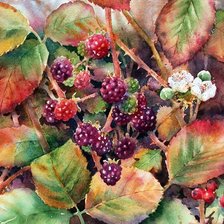 Схема вышивки «акварель»