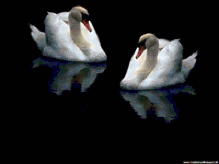 верность - предпросмотр