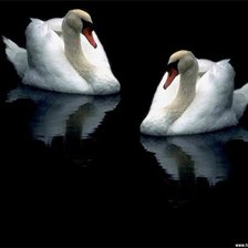 Схема вышивки «верность»