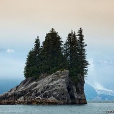 Схема вышивки «№101769»