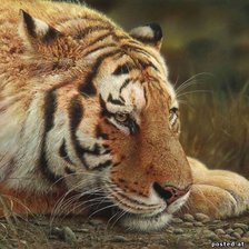 Схема вышивки «№101774»