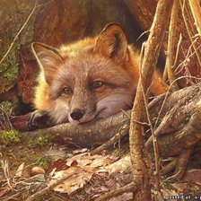 Схема вышивки «№101775»