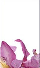 Схема вышивки «№3»