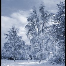 Схема вышивки «зимний лес»