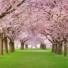 Схема вышивки «весна»