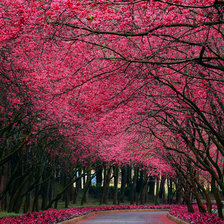 Схема вышивки «осень»