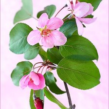 Схема вышивки «акварель»