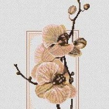 Схема вышивки «№102164»