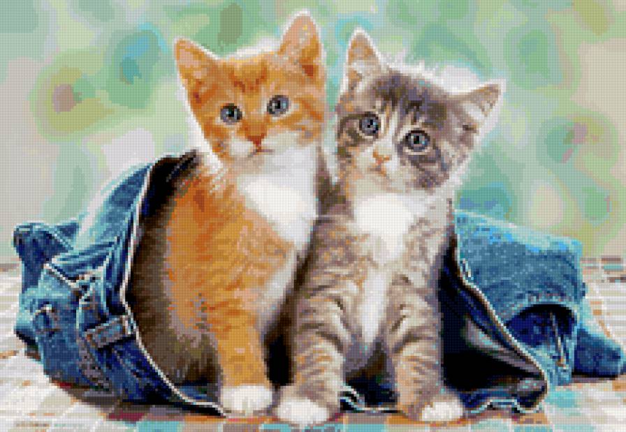 Котята - кошки, кот, животные, звери, животное, котята - предпросмотр