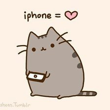 Схема вышивки «Котя»