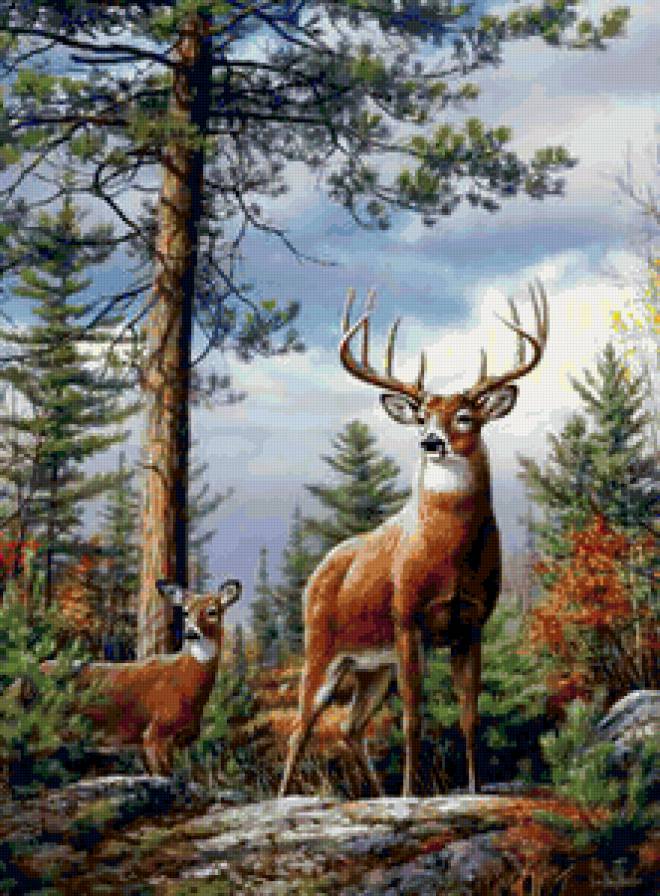 олени в лесу - лес, олени - предпросмотр