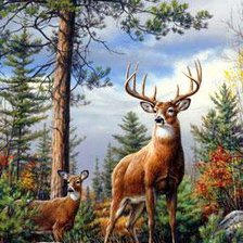 Схема вышивки «олени в лесу»